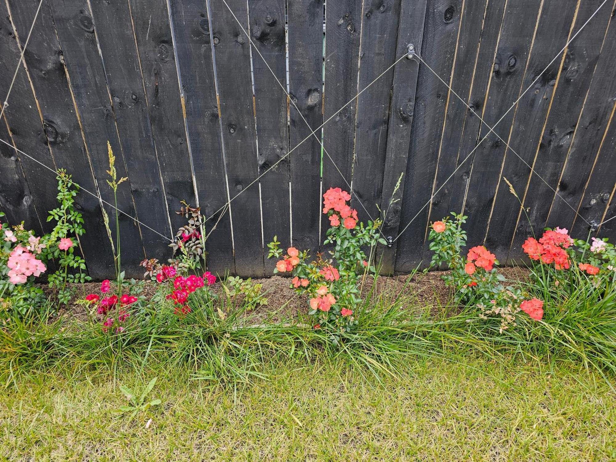 シルバーデールTui Nest Garden Unitアパートメント エクステリア 写真